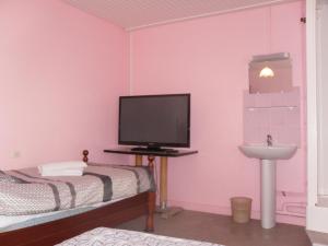Châlus的住宿－l'escale gourmande，一间卧室配有一张床、一台电视和一个水槽