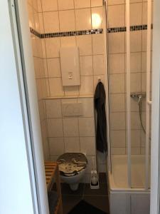uma pequena casa de banho com WC e chuveiro em Ruhiges Apartment mit Blick in den Garten em Alsdorf