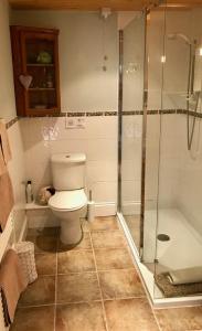 a bathroom with a toilet and a shower at Jago Cottage in Truro