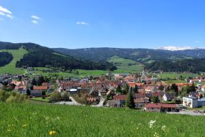 a town on a hill with a green field at Apartments Obdach in Obdach