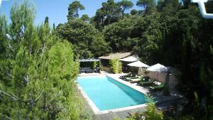 a swimming pool in the middle of a forest at les 3 saisons in Cucuron