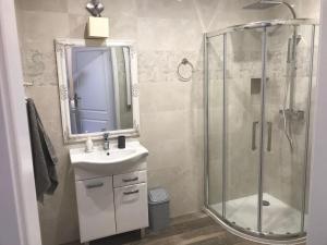 een badkamer met een douche, een wastafel en een spiegel bij Rubinowe Apartamenty in Sandomierz