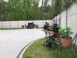 Ogród w obiekcie Ferienwohnung Anna Swinemünde Rycerska