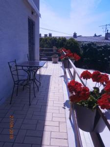 a patio with a table and chairs and red flowers at Family Apartment Tonko with King's Bed in Matulji
