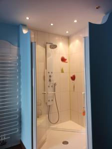 a shower stall in a bathroom with a shower at Apartment (4 Dinkel) in Hargelsberg