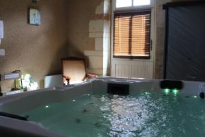 a bath tub filled with water in a room at Hôtel & Spa Chai De La Paleine in Le Puy-Notre-Dame