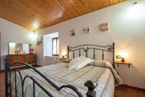 een slaapkamer met een groot bed en een houten plafond bij Agriturismo Il Poderuccio in Castiglione dʼOrcia