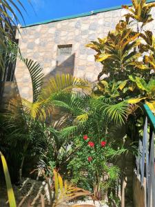 Gallery image of Casa Leon Guesthouse in San José