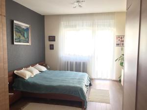 ブダペストにあるMamini's Apartmentのベッドルーム1室(ベッド1台、大きな窓付)