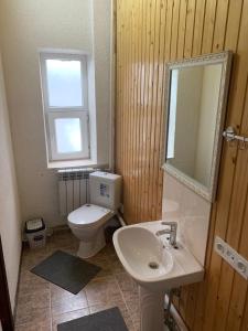 Urban Monkey Tent hostel & bar في كاراكول: حمام مع مرحاض ومغسلة ومرآة