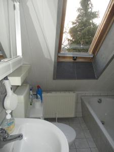a bathroom with a sink and a toilet and a window at Mönchswalder Blick in Großpostwitz