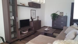 a living room with a couch and a tv at Gardino Apartamentai in Šiauliai