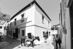 Koń ciągnący powóz wąską uliczką w obiekcie Mastoris Mansion w mieście Hydra