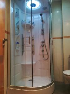 a shower with a glass door in a bathroom at Villa Dalia in Suances