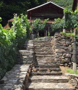 kamienne schody prowadzące do domu w obiekcie Casa immersa nel vigneto w mieście Roveredo