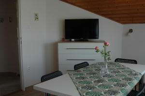 TV a/nebo společenská místnost v ubytování Apartman Tímea