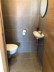 a bathroom with a toilet and a sink at Residentie Kapelhof in Koksijde +28 photos
