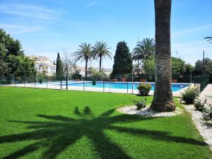 une ombre d'un palmier à côté d'une piscine dans l'établissement Apartamento Mar del Sur, à Benalmádena