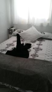 Un dormitorio con una cama con un objeto negro. en BEAUTIFUL SMALL APARTAMENT en Costa Calma