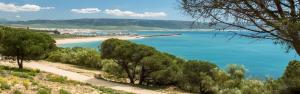 - une vue sur une plage d'eau bleue et d'arbres dans l'établissement habitación turquesa, à Barbate
