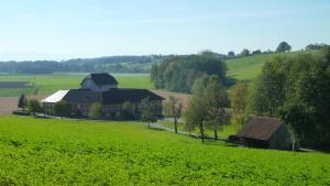 a house in the middle of a green field at Apartment (4 Dinkel) in Hargelsberg