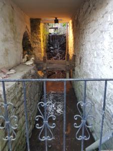 Gambar di galeri bagi Ancien moulin de Vaux Chavanne di Manhay