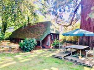 eine Blockhütte mit einem Picknicktisch und einem Sonnenschirm in der Unterkunft Otters Green in Botley