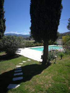 a swimming pool with a tree in a yard at la Cigalette in Peypin