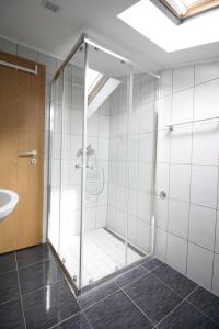 a shower with a glass door in a bathroom at Sebi Apartment 300 m from beach in Rovinj