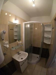 a bathroom with a shower and a sink at Apartament Angelit in Rowy