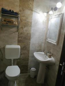 un baño con inodoro y lavabo en Clemence Guesthouse, en Brasov 2 fotos más