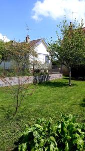 un patio con una casa y un árbol en Au pied de l étang et du canal du Nivernais bazolles, en Bazolles