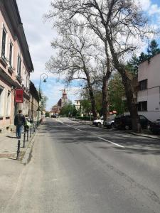 a person walking down a street next to a tree at Clemence Guesthouse in Braşov