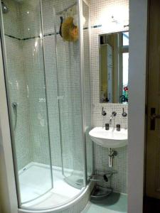 ein Bad mit einer Dusche und einem Waschbecken in der Unterkunft Apartment Alster in Hamburg
