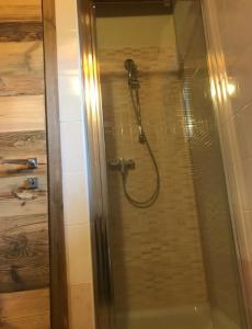 a shower with a hose in a bathroom at La casetta di Montagna - Courmayer in Pré-Saint-Didier