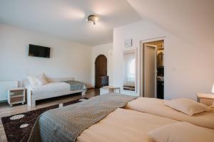 1 dormitorio con 1 cama grande en una habitación en Pensiunea Biz Panzió en Corund