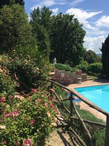 a garden with a swimming pool and flowers at Il Broglino in Todi