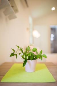 Fotografie z fotogalerie ubytování Apartment in Vis historic center - Mikula, Ljubica, Toma v destinaci Vis