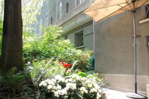 A garden outside Basement Turati 3 -Consulates District
