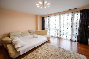 a living room with a couch and a large window at Coralia Luna Park Apartments in Mamaia