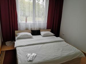 - un petit lit dans une chambre avec fenêtre dans l'établissement Casa Cu Flori, à Mihai Viteazu
