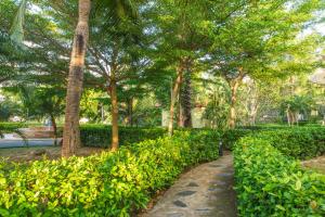 Gallery image of Panalee Koh Samui Resort - SHA Plus in Ban Bang Po