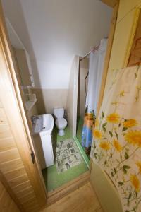 a small bathroom with a toilet and a sink at Dunaiskaya Usadba in Vylkove