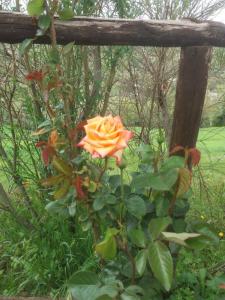 Jardín al aire libre en Agriturismo La Poderina