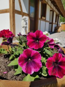 Fotografie z fotogalerie ubytování Chata Pod Strzechą v destinaci Lipusz