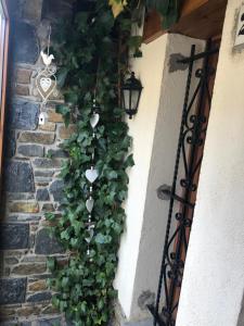 een muur met een klimplant en een straatlicht bij Casa - Top Llívia in Llivia