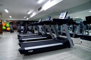Fitness centrum a/nebo fitness zařízení v ubytování The Francis Hotel