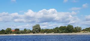 a body of water with trees and a beach at Zum Lachsfischer in Schaprode