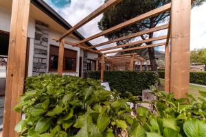 Zahrada ubytování Hotel Bungalows Europa