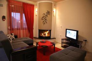 a living room with a couch and a fireplace at Mouses Apartments in Kastoria